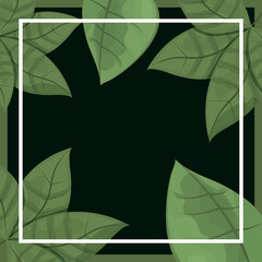 leaves black background