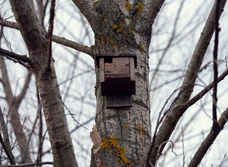 Birdhouse on a tree