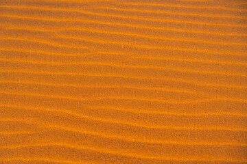 Rippled golden brown desert sand Texture background
