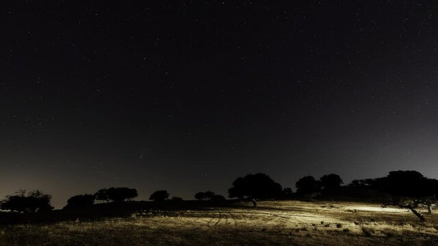 Timelapse astrophotography of comet Neowise (
C/2020 F3) in a field with illuminated trees