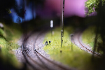 The layout of the city. Layout of railway tracks with semaphores and arrows.