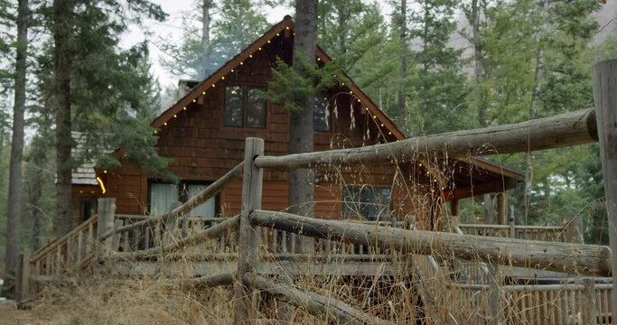 Snow falls around log cabin in forest, low angle