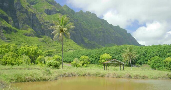 Remote tropical landscape in Kualoa Ranch, wide