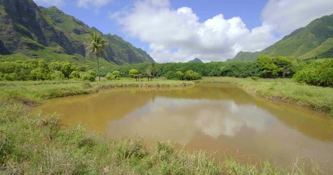 Wide, pond in Kualoa Ranch