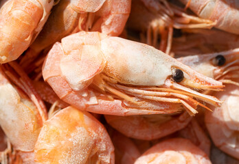Royal boiled shrimp closeup