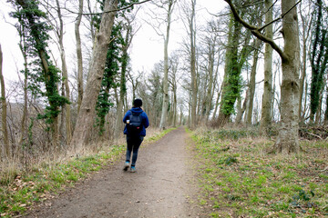 A person walking on the forest. Rear view