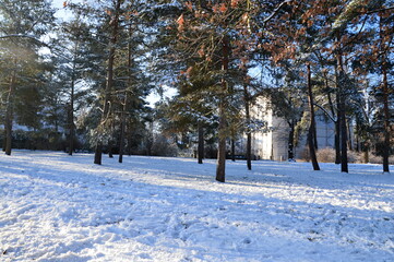 Winter im Stadtteil Schmargendorf, Berlin