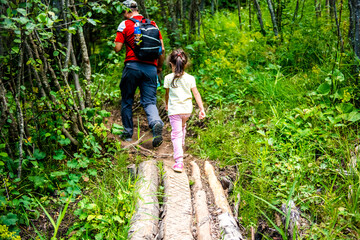 Naklejka na ściany i meble Father and daughter go camping in the woods. Tourism with children. Walking in the woods with a girl and a father. Father and daughter cross wooden bridge