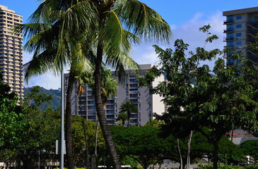 Fototapeta na wymiar Waikiki Beach auf der Insel Oahu, Honolulu, Hawaii