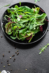 healthy salad green fresh lettuce, chard, leaves arugula, spinach, iceberg, Romano mix salad snack meal top view copy space rustic food background 