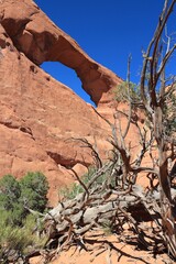 The Window in Arches National Park