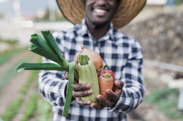 African farmer man holding fresh organic vegetables - Black person working at farm and enjoy harvest period © Sabrina