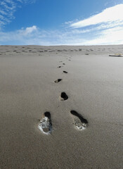 Footprints in the sand