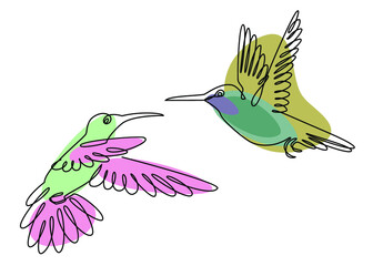 Two hummingbirds are flying. Birds in a modern one line style. Solid line, outline for decor, posters, stickers, logo. Vector illustration.