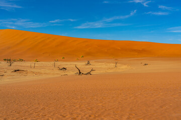 Fototapeta na wymiar On the way to Deadvlei Ssossusvlei surrounded by great dunes. with view to the vlei
