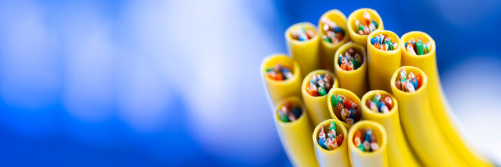 Cross-section of the network cable. Technological background. Wire. Macro photo