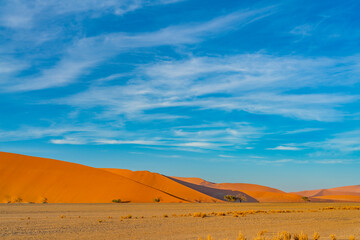 Fototapeta na wymiar Dunes of Namib Desert at Sossusvlei in the morning time, Namibia.