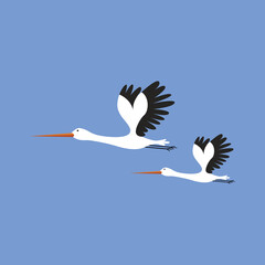 Vector illustration of storks on blue background, birds set cartoon style.