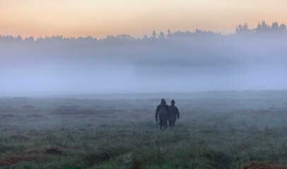 Two men with guns in the morning mist walk across the field to the forest.