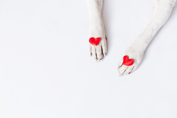 dog paws in hearts