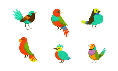 Tropical Birds Collection, Bright Exotic Birds Cartoon Vector Illustration on White Background