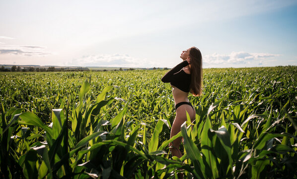 Sensual young woman with a slim figure enjoys a sunny summer day in cornfield
