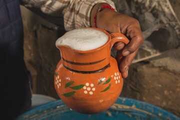 Pulquero master serving pulque in clay jars, a traditional Mexican natural alcoholic drink.