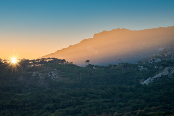 Sunset in the mountains among the green trees