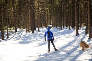 Cross country Skilling. A skier goes skiing on the ski track.