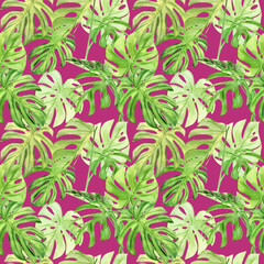 Watercolor illustration seamless pattern of tropical leaf monstera. Perfect as background texture, wrapping paper, textile or wallpaper design. Hand drawn
