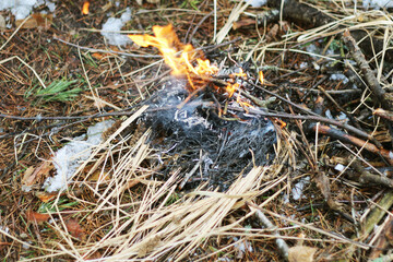 In the spring forest, the grass was set on fire.