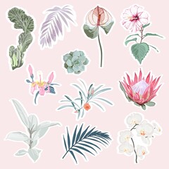 Set of tropical protea, hibiscus flowers and leaves elements. Set of stickers, pins, patches and handwritten notes collection stikers kit.