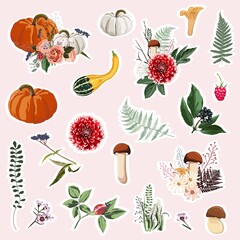 Hand drawn set of cute autumn pictures: pumpkin, mushrooms, leaves, flowers etc. Isolated icons, stickers.