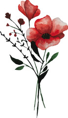 cute little bouquet of poppies watercolor hand drawn vector colorful spring illustration