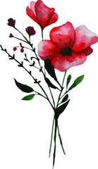 cute little bouquet of poppies watercolor hand drawn vector colorful spring illustration