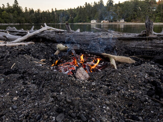 a bright, lakeside campfire at dusk, perfect for roasting smores