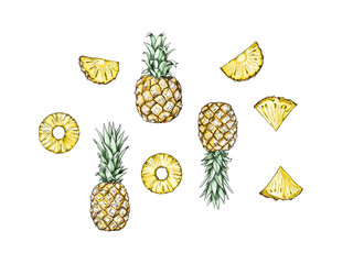 Ananas, verschiedene Stücke und Scheiben