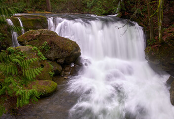 Whatcom Falls in Bellingham Washington. Water pours over Whatcom Falls in the Pacific Northwest city of
Bellingham, Washington. 
