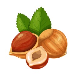 Hazelnut with leafs