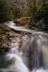Flowing water among forest. Mountain river flowing betwing rocks