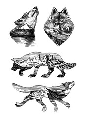 Gray wolf logo and badge. Forest and mountain and hill. Double exposure Concept. A predatory beast. Wild forest animal. Vector Engraved hand drawn Vintage old sketch for tattoo, t-shirt or typography.