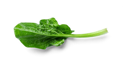 Fresh spinach on a white background