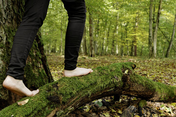 Woman in black trousers is walking barefoot on mossy tree trunk in autumnal forest area. Mindful...