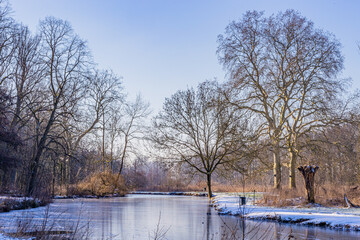 Winter landscape with a pond with its frozen waters, frost and snow, surrounded by huge bare trees, wild plants and light fog, sunny winter day in Kasteelpark Elsloo, South Limburg, the Netherlands