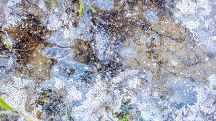 Closeup of frosty ice water surface with stones and some green plants in the background in a pond, winter day. Frozen water texture