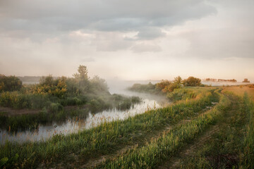 Colorful sunrise in a meadow with fog notched