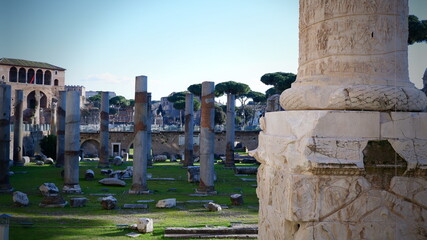 Roman Column of Honour and Trajan's Forum with the Church of Santa Maria di Loreto in Rome and the...