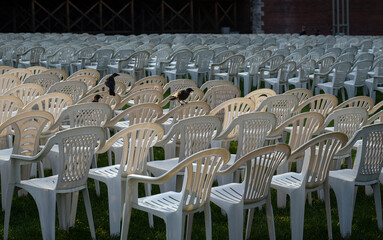 Rows of white chairs on a green meadow awaiting presses on a sunny day. conference