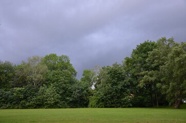 calm before the storm