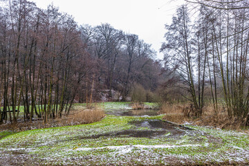 Dutch countryside with a small pond surrounded by green grass with traces of snow, bare trees with...